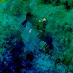 image: Image from the photoset ‘
damage (cxi)
’.