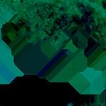 image: Image from the photoset ‘
damage (cxi)
’.