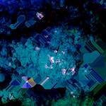 image: Image from the photoset ‘
damage (cxi)
’.