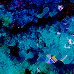 image: Image from the photoset ‘
damage (cxii)
’.