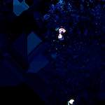 Sixth image from the photoset 'damage (cxiii)'.