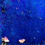 image: Image from the photoset ‘
damage (cxiv)
’.