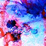 Second image from the photoset 'damage (cxv)'.