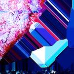 Third image from the photoset 'damage (cxv)'.