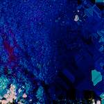 Sixth image from the photoset 'damage (cxv)'.