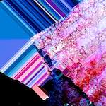 image: Image from the photoset ‘
damage (cxvi)
’.