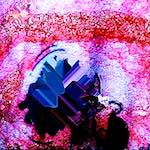 image: Image from the photoset ‘
damage (cxvi)
’.