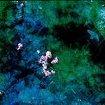 image: Image from the photoset ‘
damage (cxvii)
’.