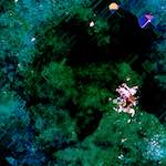 image: Image from the photoset ‘
damage (cxvii)
’.