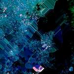 image: Image from the photoset ‘
damage (cxvii)
’.