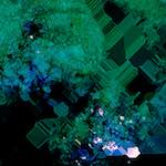 image: Image from the photoset ‘
damage (cxvii)
’.