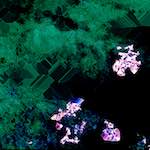 image: Image from the photoset ‘
damage (cxvii)
’.