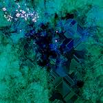 Image: Second image from the photoset 'damage (cxviii)'.