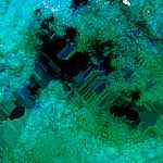 Image: Third image from the photoset 'damage (cxviii)'.