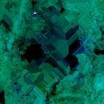 Image: Fourth image from the photoset 'damage (cxviii)'.