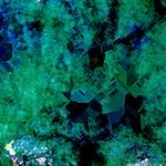 Image: Sixth image from the photoset 'damage (cxviii)'.