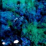 Image: Seventh image from the photoset 'damage (cxviii)'.