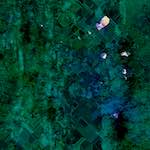 image: Image from the photoset ‘
damage (cxix)
’.