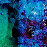 Image: Ninth image from the photoset 'damage (cxviii)'.