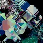 image: Image from the photoset ‘
damage (cxix)
’.