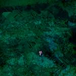 image: Image from the photoset ‘
damage (cxix)
’.