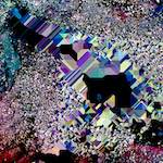 image: Image from the photoset ‘
damage (cxix)
’.