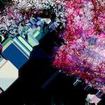 image: Image from the photoset ‘
damage (cxix)
’.