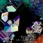 image: Image from the photoset ‘
damage (cxx)
’.