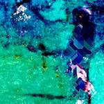 image: Image from the photoset ‘
damage (cxx)
’.