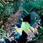 image: Image from the photoset ‘
damage (cxx)
’.