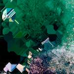 image: Image from the photoset ‘
damage (cxx)
’.