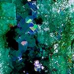 image: Image from the photoset ‘
damage (cxxiii)
’.