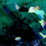 image: Image from the photoset ‘
damage (cxxiv)
’.