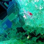 image: Image from the photoset ‘
damage (cxxv)
’.