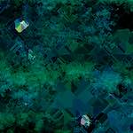 image: Image from the photoset ‘
damage (cxxv)
’.