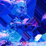 image: Image from the photoset ‘
damage (cxxviii)
’.