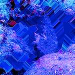 image: Image from the photoset ‘
damage (cxxviii)
’.