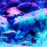 image: Image from the photoset ‘
damage (cxxviii)
’.