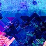 image: Image from the photoset ‘
damage (cxxx)
’.