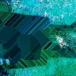 image: Image from the photoset ‘
damage (cxxxi)
’.