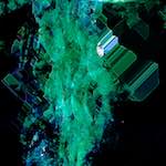 image: Image from the photoset ‘
damage (cxxxi)
’.