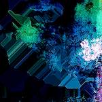 image: Image from the photoset ‘
damage (cxxxi)
’.