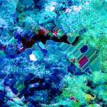 image: Image from the photoset ‘
damage (cxxxiii)
’.