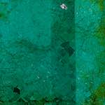 image: Image from the photoset ‘
damage (cxxxvi)
’.