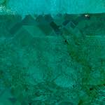 image: Image from the photoset ‘
damage (cxxxvi)
’.