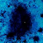 image: Image from the photoset ‘
damage (cxlviii)
’.