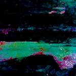 image: Image from the photoset ‘
damage (cxxxix)
’.