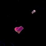 image: Image from the photoset ‘
damage (cxxxix)
’.