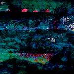 image: Image from the photoset ‘
damage (cxxxix)
’.