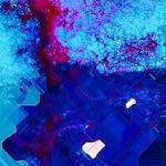 image: Image from the photoset ‘
damage (cxl)
’.